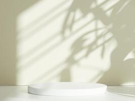 Soft Sunlit Podium with Tree Shadow Patterns photo