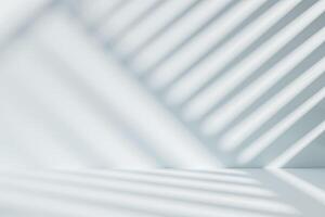 Wall Overlay with Delicate Window Light Shadows photo