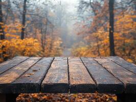 An empty wooden table in the middle of a forest photo