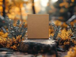A wooden box sitting on a rock in the middle of a forest photo