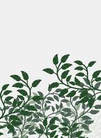 Abstract dense green leaf illustration. Natural background with place for text vector