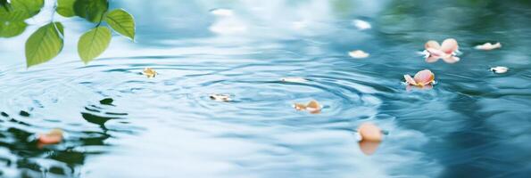 Serene water ripple with floating pink petals and green leaves reflected photo