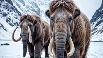 Ice age mammoths walk in the snow and winter mountain landscape. photo