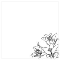 Frame with lily flowers in the lower right corner. Doodle style. vector