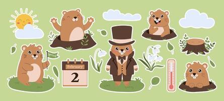 A stickers set of cute groundhogs with the calendar is on February 2 groundhogs day vector