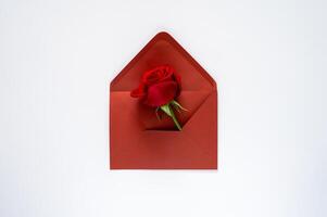 Red rose puts in red open envelope on white background for Valentine's and Mother day minimal concept. photo
