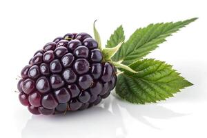 A black Ripe raspberries with leaves isolated on white background photo