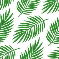 Tropical palm leaf seamless tile pattern with lush green palms and vibrant accents on a white background ideal for sunny lounges vector