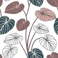 Rustic Pilea seamless pattern with earthy tones and natural textures on white background vector