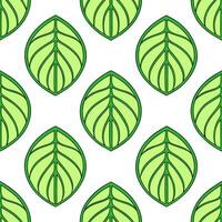 Scandinavian inspired Pilea seamless pattern with minimal colors and clean lines on white Set 2 vector
