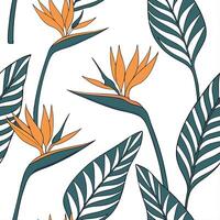Scandinavian inspired Bird of Paradise seamless pattern with minimal colors and clean lines on white Set 2 vector