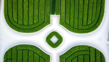 An aerial view of a green lawn with a circular design photo