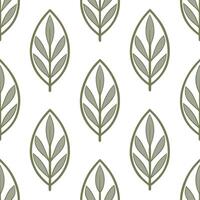 Vintage inspired sage leaves seamless pattern with muted colors and distressed textures on white vector