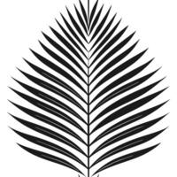 Monochrome palm leaf seamless tile pattern clean isolated white background ideal for modern minimalist designs branding packaging vector