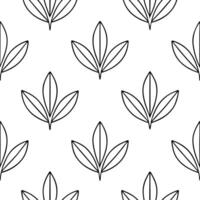 Minimalist monochrome sage leaves seamless pattern with simple lines on white background vector