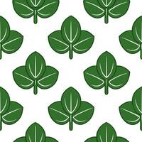 Minimalist monochrome Pilea seamless pattern with simple lines on white background vector