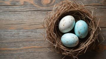 Bird's nest with three speckled blue eggs resting on a rustic wooden background, symbolizing nature and springtime concepts. Mockup, template for Easter for copy space. photo