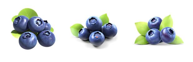 A fresh set of plump blueberries arranged neatly, displayed against a clean white background for a vibrant, natural look. photo