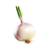 Fresh red onion with vibrant layers, beautifully displayed against a clean white background to highlight its natural colors and texture. photo