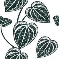 Delicate silver Pilea seamless pattern with subtle shimmer on white background vector