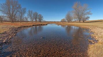 Clear river flowing gently through a tranquil landscape with lush greenery and rocks under sunny skies photo