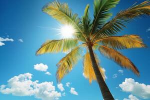 Palm tree under bright sunlight against clear blue sky photo