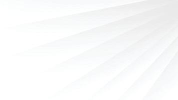 abstract white background with creased line and blur texture vector
