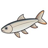 Minnow Flat Design for Fish-Themed Projects vector
