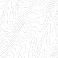 Wooden wavy pattern. Tree fiber, white wood grain texture. Dense lines. Abstract topographic background vector