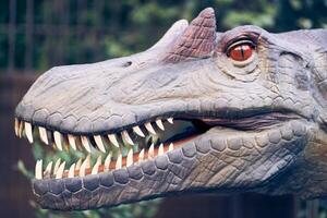 A close-up of the spinosaurus head, he was a fairly large animal. Horns are located on the head near the eyes. There is a place to copy photo