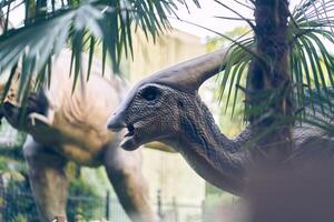 Selective focus on the dinosaur's head in close-up in the park. A giant parasaurolophus on display in the park on a sunny summer day with space to copy photo