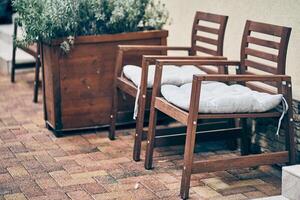 There are two chairs with soft cushions in the backyard. A green cypress plant in a wooden flowerbed in an open space. With space to copy photo