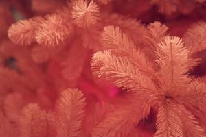 Side view of pink Christmas tree, background with copy space. Tree branches with selective focus, bokeh. Concept of textured background, greeting cards, congratulation, decor, wallpaper photo