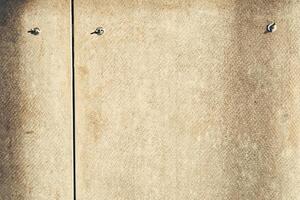 The back side of the plywood is made of fiberboard. Background texture. Textured sheet made of MDF, abstract backgrounds. Texture of the reverse side of the fiberboard sheet photo