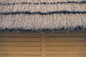 The thatched roof of an old wooden house.Straw was used as the material for the roof. With space to copy photo