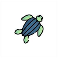 A turtle is shown in a cartoon style vector