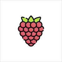 Raspberry pi logo design vector
