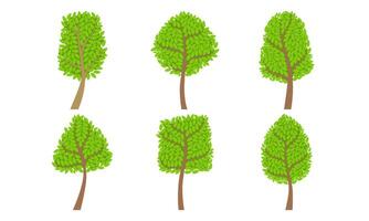 Collection of Green Various Forest Trees, Summer Landscape Design Elements Illustration vector