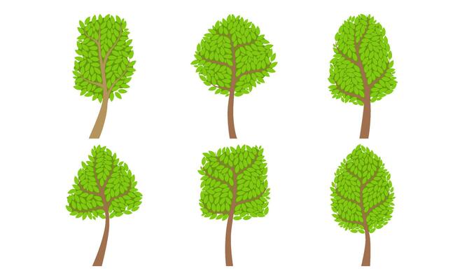Collection of Green Various Forest Trees, Summer Landscape Design Elements Illustration