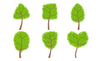 Collection of Green Deciduous Trees with Crown of Various Shapes, Summer Landscape Design Elements Illustration vector