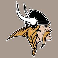Sharp and Simple Viking Design. vector