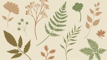 Elegant seamless pattern perfect for stylish fabric vector
