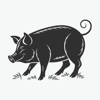 Pig Looking Up at a Fluffy Cloud vector