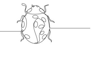 Ladybug illustration continuous line vector