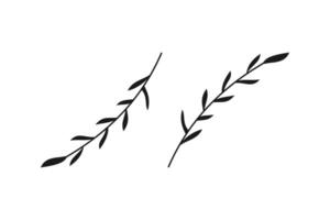 simple wheat leaves and stalks for design elements vector