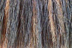 The Texture of coconut fiber broom with yellow black color photo