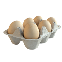 Six Brown Eggs in a Cardboard Carton png