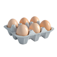 Six Brown Eggs in a Carton Displayed Neatly png