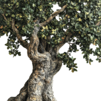 A Detailed View of an Artificial Tree with Lush Green Foliage png
