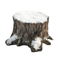 Snow Covered Tree Stump In Winter Setting png